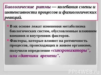 Ритмические колебания