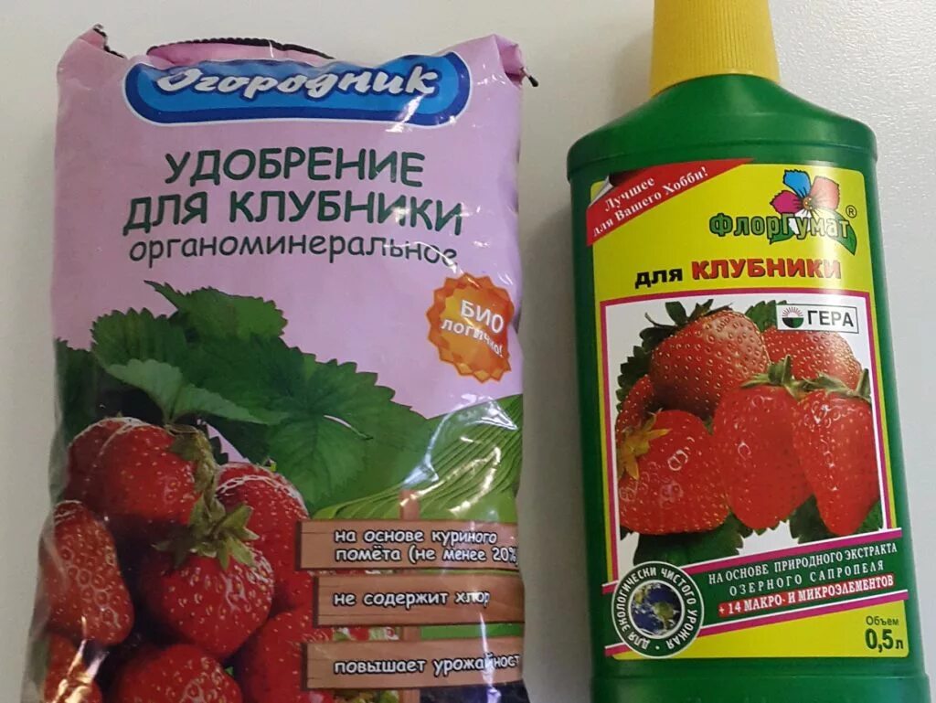 Удобрения для клубники для урожая