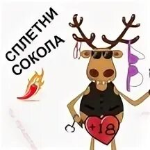 Сокольские сплетни инфо. Сокольские сплетни г сокол вологодская область. Сокольские сплетни инфо. Сокольские сплетни инфо. Сокольские сплетни г сокол вологодская обл.
