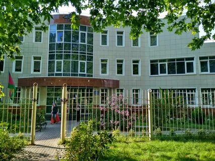 Паспортный адлер