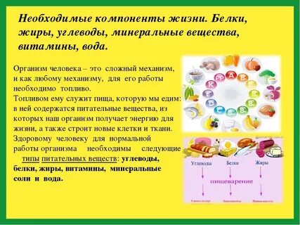 Необходимые для жизни витамины