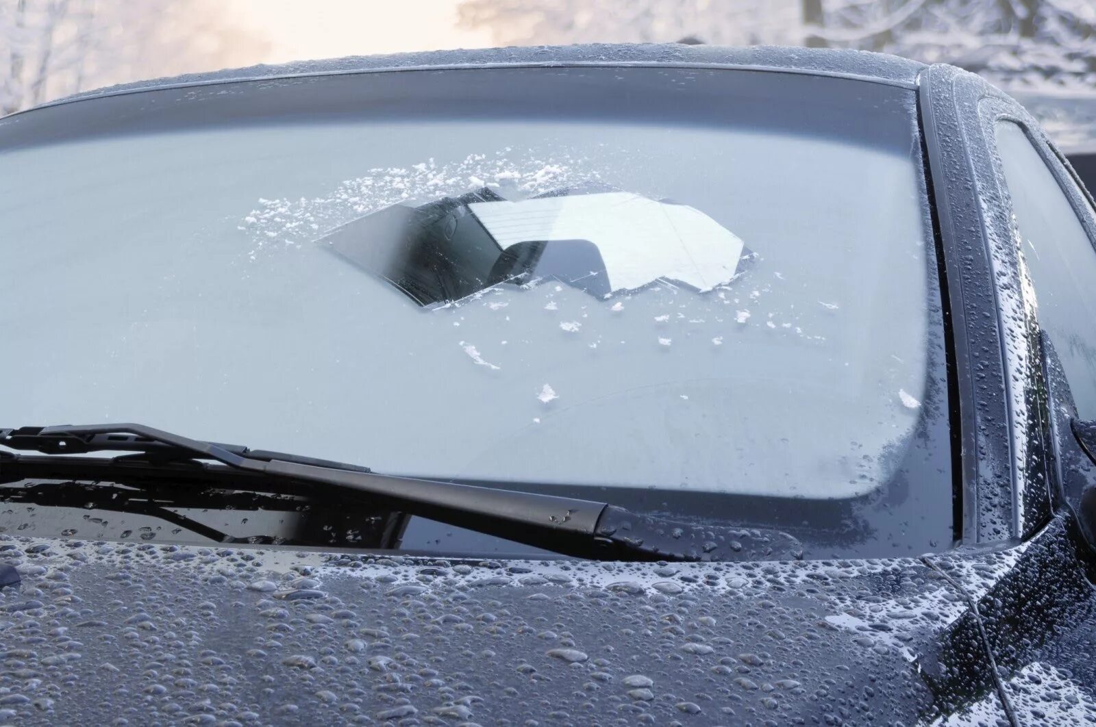 Почему запотевает автомобиль. Замерзшее лобовое стекло. Замерзшее лобовое стекло изнутри. Лед на стекле автомобиля. Лобовое стекло автомобиля зимой.