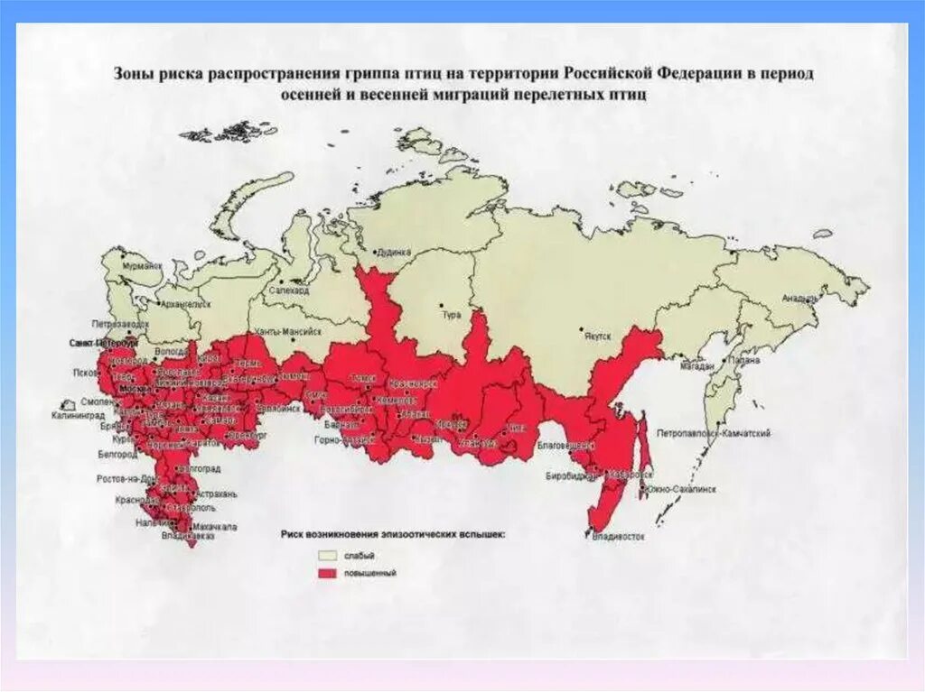 Зоны опасности на территории