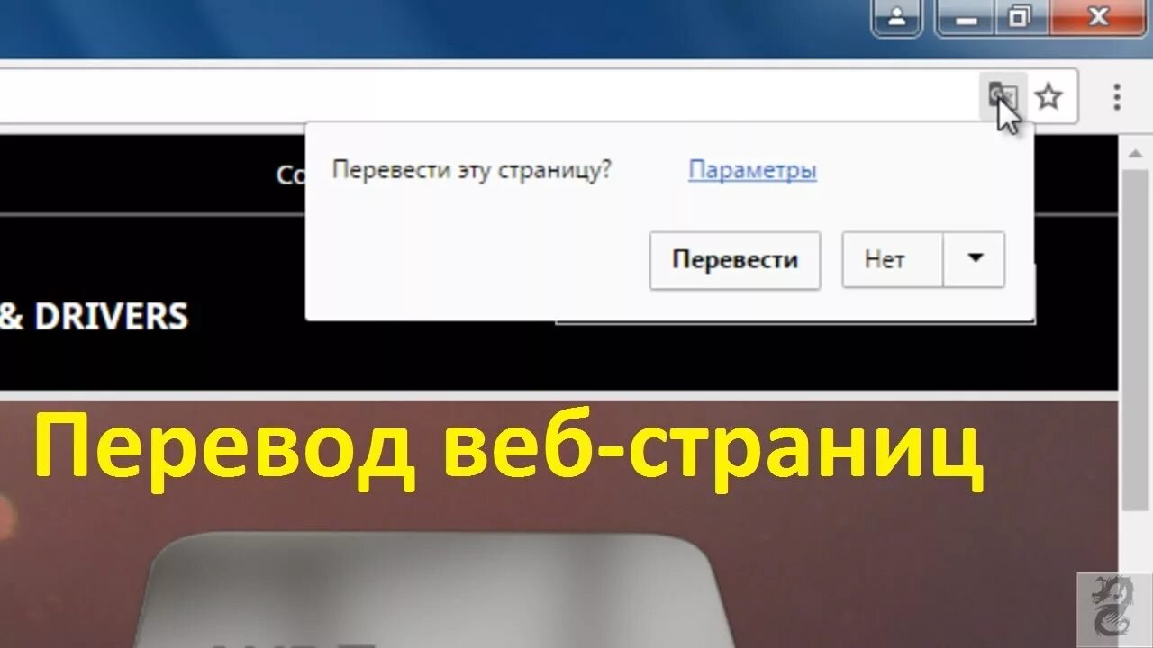 Автоматический переводчик страниц. Как отключить веб страницу. Как включить автоматический перевод страницы в Google Chrome. Web перевод. Включите веб страницу