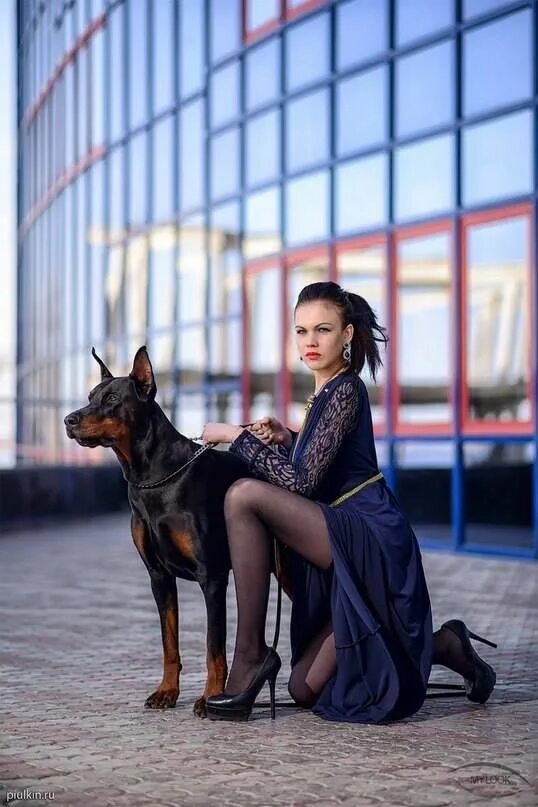 Доберман студия. Зои дойч с доберманом. Доберман в студии. Доберман студия. Йована вентура с доберманом.