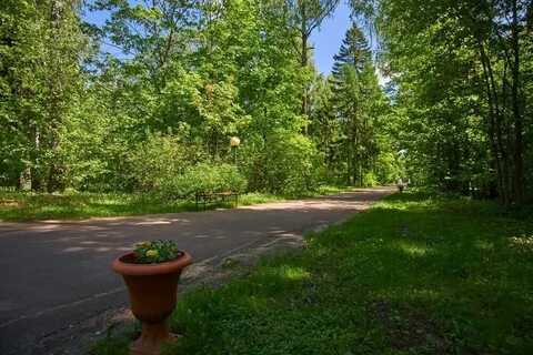 Менделеево московская обл
