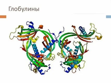 Гамма белки