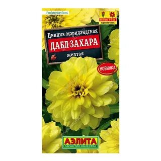 Циния захара отзывы фото и описание