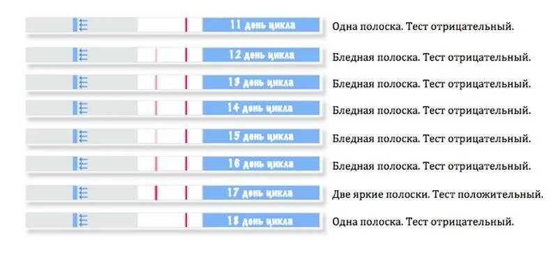 Когда можно делать тест на беременность. Тесты по дням цикла на беременность до задержки. тест на беременность положительный по дням. тест полоски на беременность по дням. через 2 недели после зачатия тест покажет беременность до задержки.