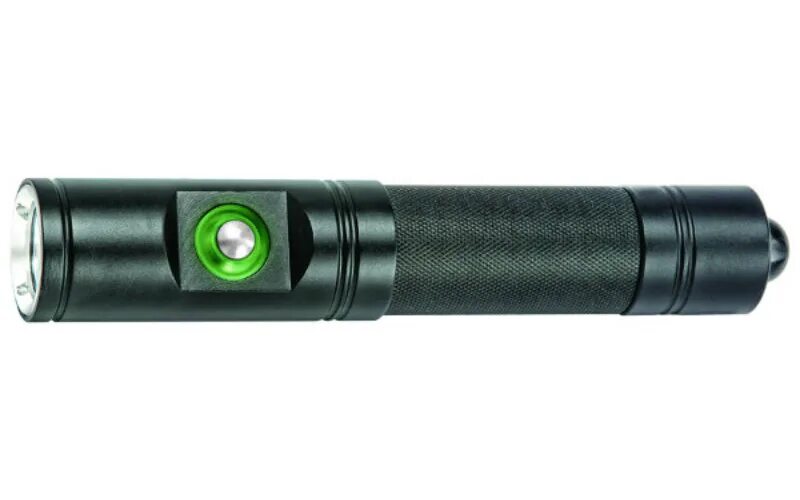 Torch 2.4