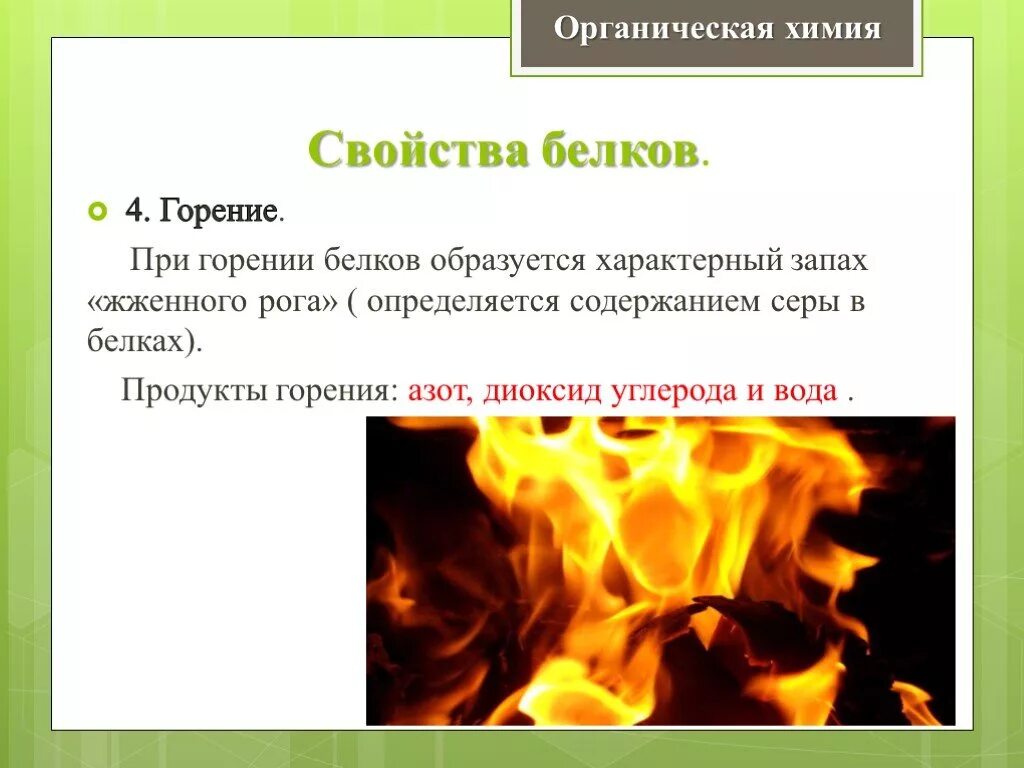 Образуется при горении 4. Горение белков реакция. Химические свойства белков горение. Горение белка реакция. Горение белков уравнение реакции.