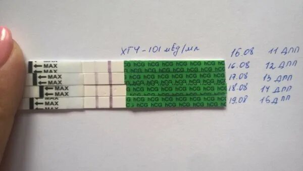 Тест на 10 день после переноса. Тесты после подсадки эмбрионов. Тесты при эко пятидневки. 11 день после переноса тест отрицательный. Отрицательный тест на 11 день после подсадки.