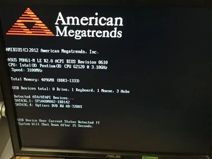 Bios american