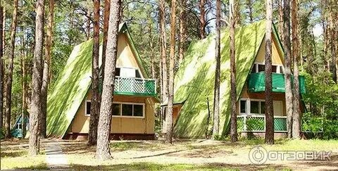 Сосновый бор липецк