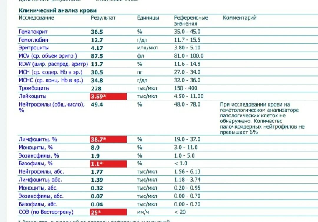 Что значит соэ в крови у женщин. Клинический анализ крови СОЭ. Общий анализ крови СОЭ норма. Клинический анализ крови референсные значения. Анализ крови СОЭ 6.