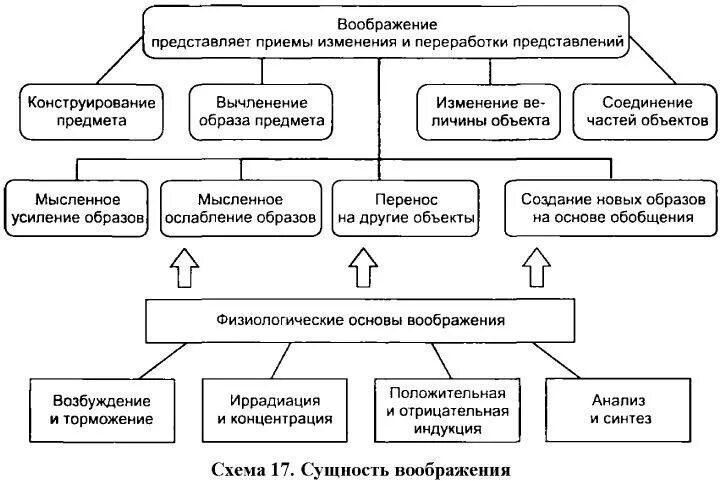 Закономерности воображения. Виды воображения в психологии схема. воображение его виды и функции в психологии. структура воображения в психологии. функции творческого воображения.
