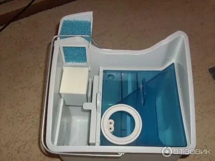Thomas aquawash pet