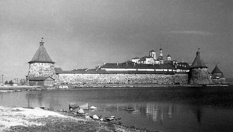Слон соловецкий лагерь особого