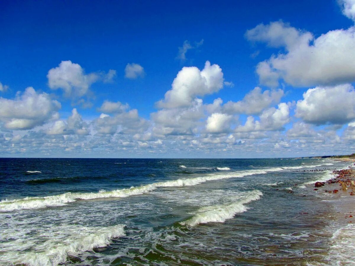 Балтийском море. Балтийское море зеленоградск. балтийское побережье,балтика,. берег балтийского моря в калининграде. калининград море балтийское море.