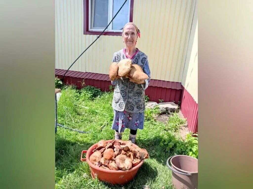 Где собирать грибы в башкирии. Весенние грибы в башкирии. весенние грибы башкирии съедобные. пенсионеры собирают грибы. пенсионерки женщины в лесу.