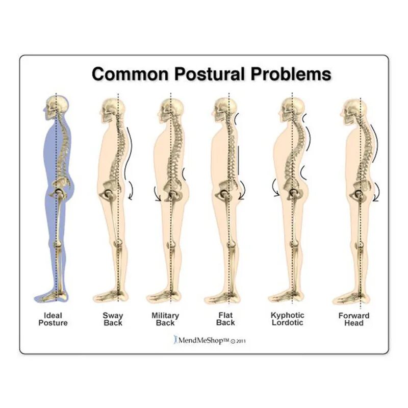 Back types. Back types. 構えkamae позиция posture. Back types. Back types.