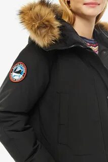 Arctic explorer