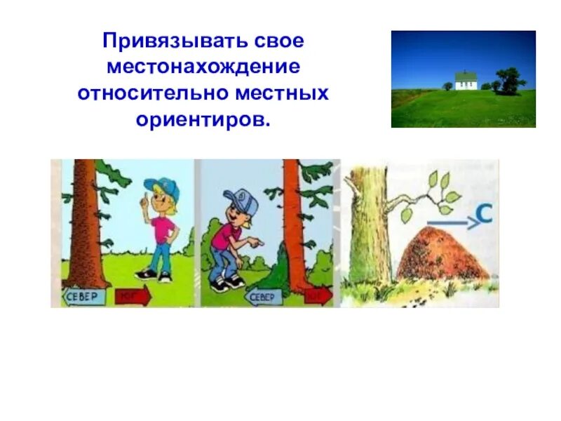 Местоположение установлено относительно ориентира