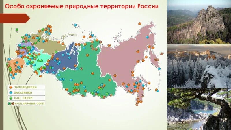 Охраняемые территории России. Особо охраняемые природные территории России. Особо охраняемые заповедники России. Особые охраняемые природные территории России. Особо охраняемые природные зоны россии