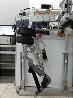 Robotics limb