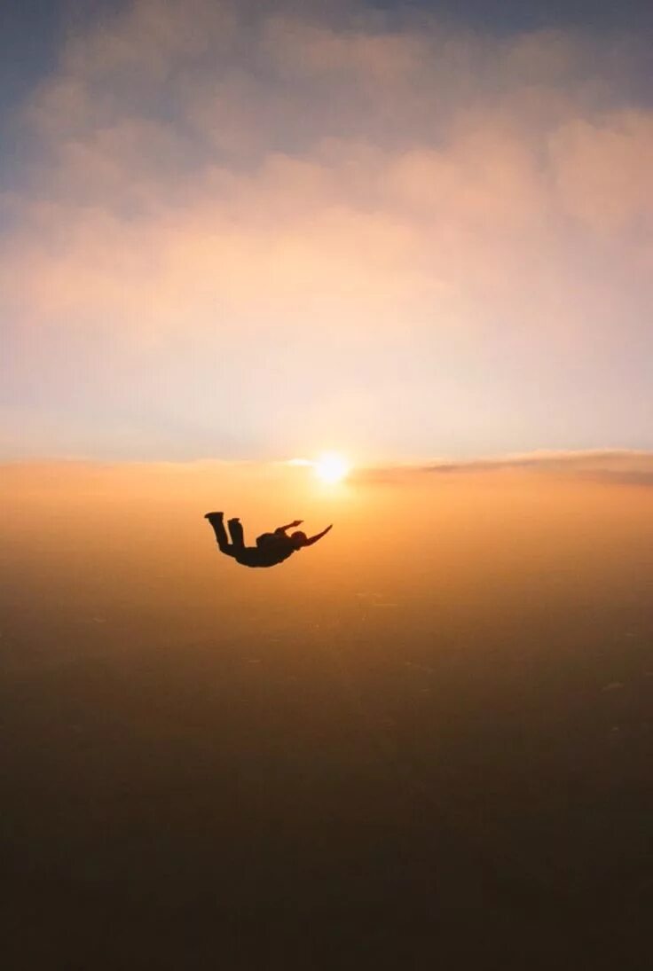 Порхать как бабочка жалить как пчела. Научусь летать. Flying like that is dangerous - and delightful. L like flying. L like flying.