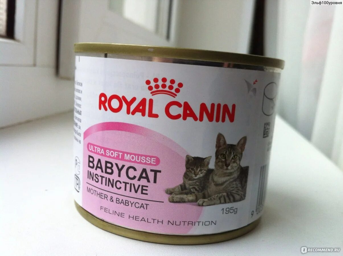 Royal canin babycat. Royal Canin Babycat мусс. Mother & Babycat (мусс). Йодированный корм для кошек. Роял Канин софт мусс для собак.