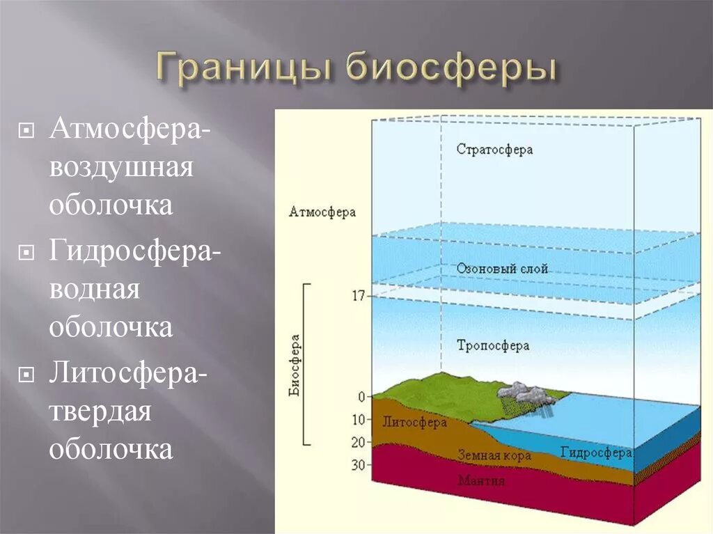 Связь биосферы с гидросферой. Литосфера гидросфера атмосфера Биосфера. Стратосфера гидросфера литосфера. Границы распространения оболочки биосферы. Тропосфера литосфера гидросфера атмосфера.