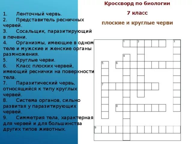 Червь сканворд. Кроссворд по биологии 7 класс Тип плоские черви. Кроссворд на тему Тип плоские черви 7 класс биология. Кроссворд на тему круглые черви по биологии 8 класс. Кроссворд по теме черви 7 класс биология.