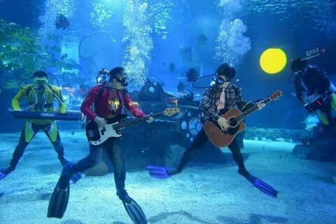 Водная группа