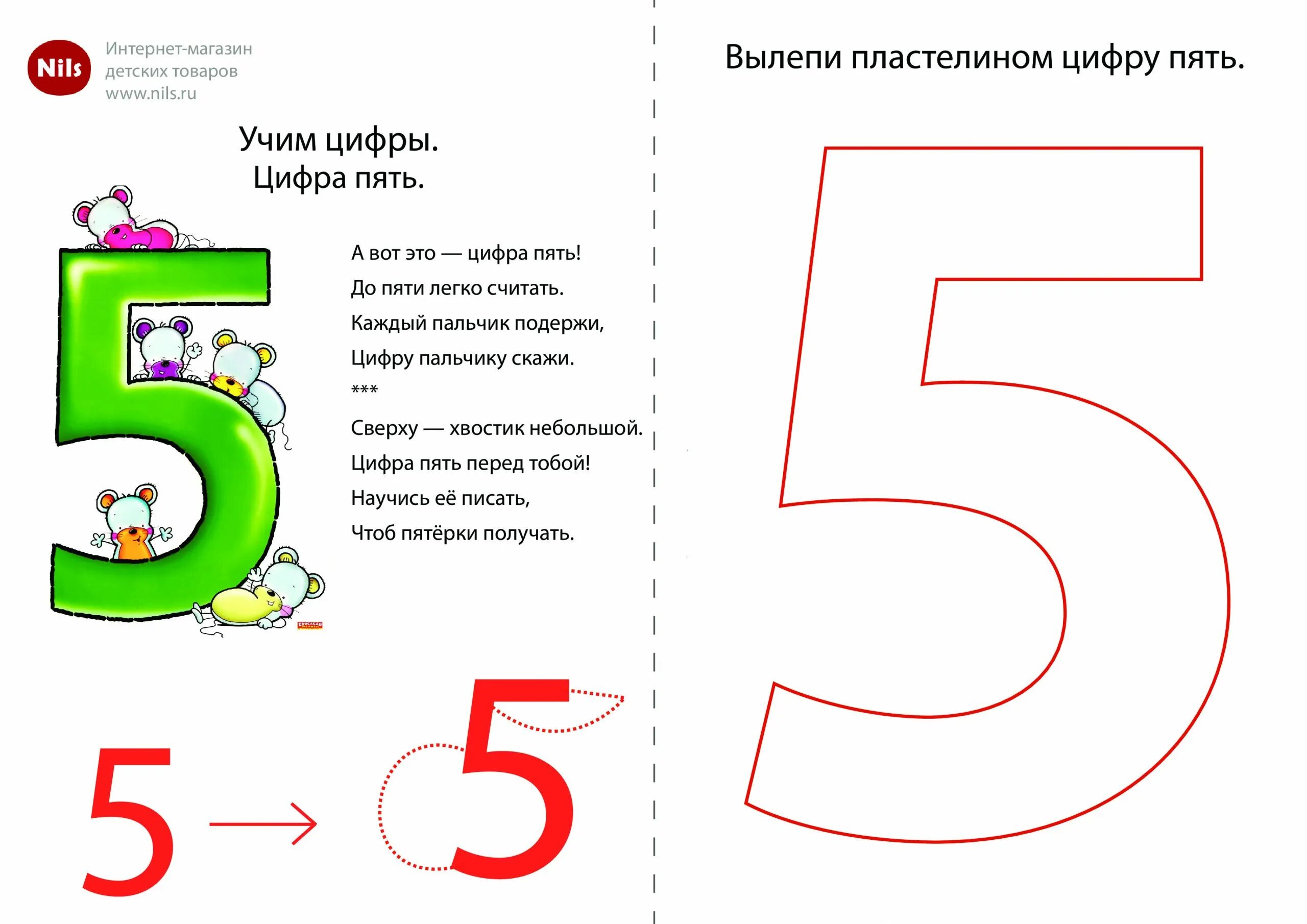 Жизненное число 5. Цифра 5 для дошкольников. Цифра 5 задания. Изучаем цифру 5. Число 5 задания для дошкольников.