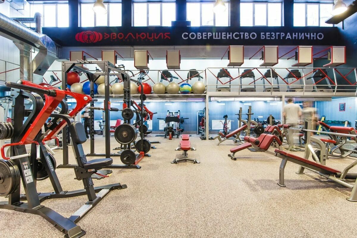 клубника бразилия балерина тверк. президент монголии в зале. труба для кроссфита. президент монголии качок. халтмаагийн баттулга в спортзале.