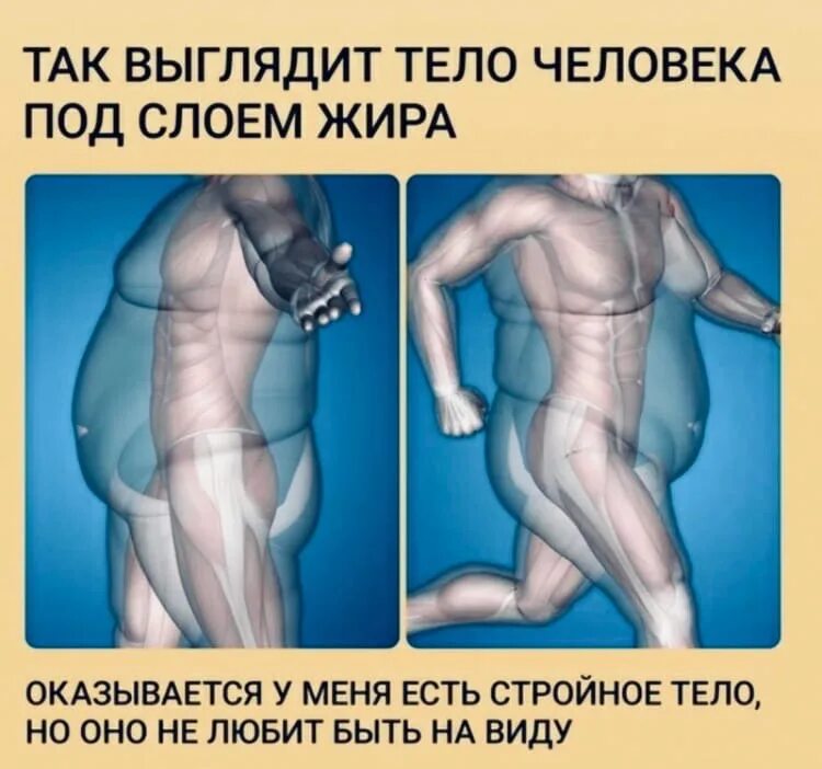 Как выглядит жир в теле человека. Как выглядитьчеовеческий жир.