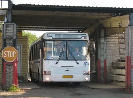 Автобус 204 спб