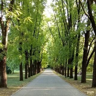 Сад краснодар