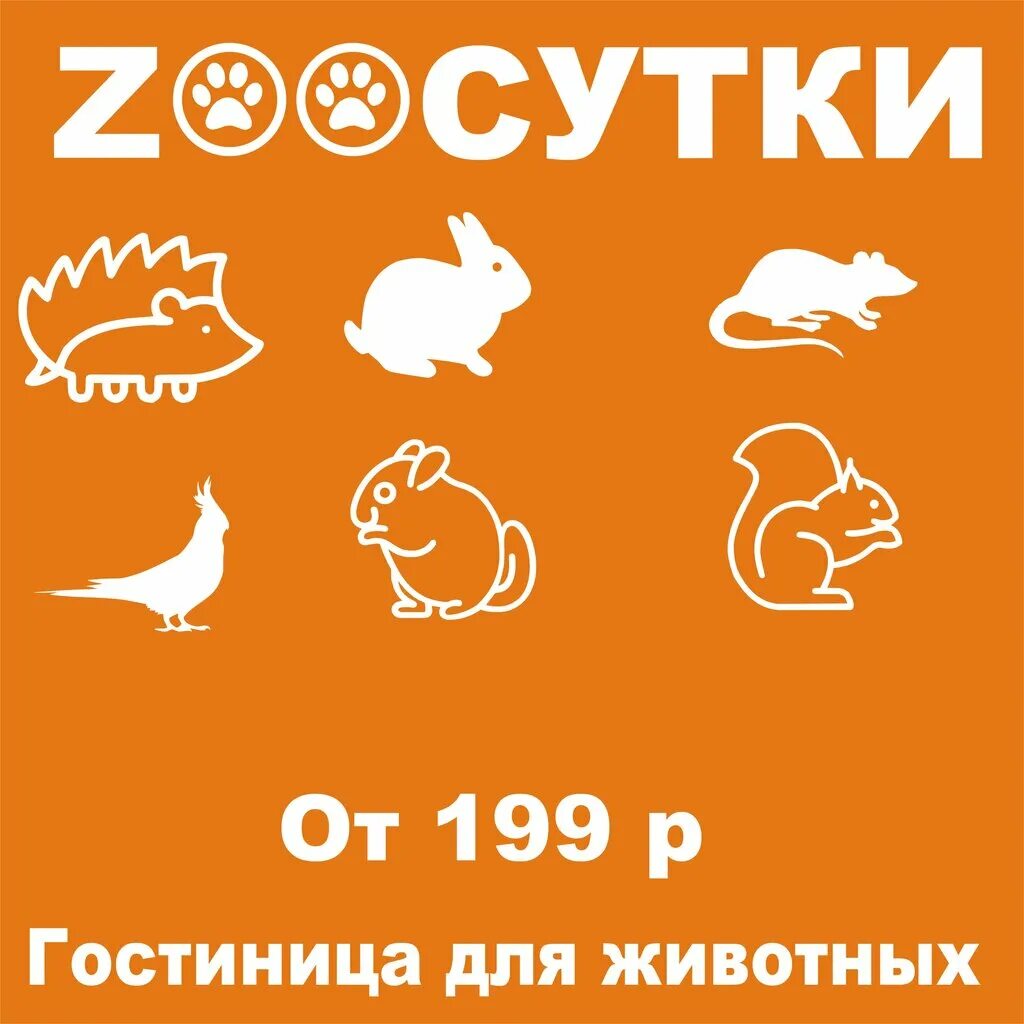 Звери краснодар купить. Гостиница для животных Краснодар. Гостиница для животных Армавир. ЛАПЫЛАНДИЯ гостиница для животных Екатеринбург. Статистика гостиниц для животных.