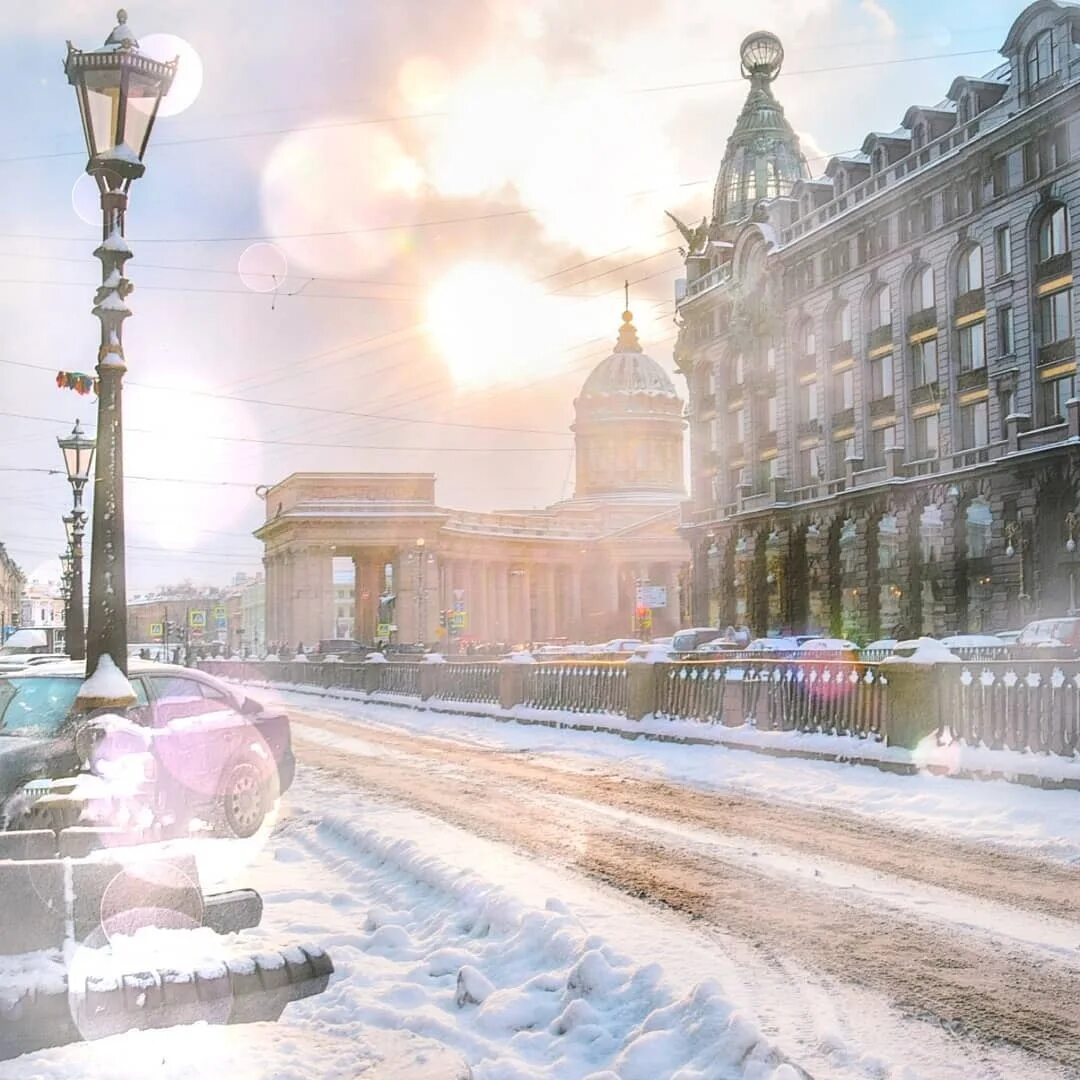 Холод спб