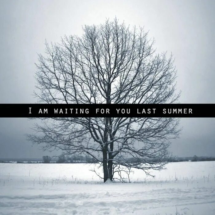 1 last summer. I am waiting for you. i am waiting for you last summer 2025. i am waiting for you last summer логотип. iamwaitingforyoulastsummer.