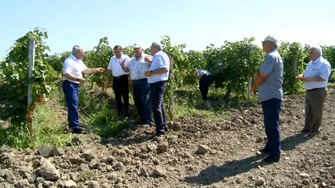 Дербентская село падар погода