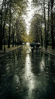 День был пасмурный но жаркий