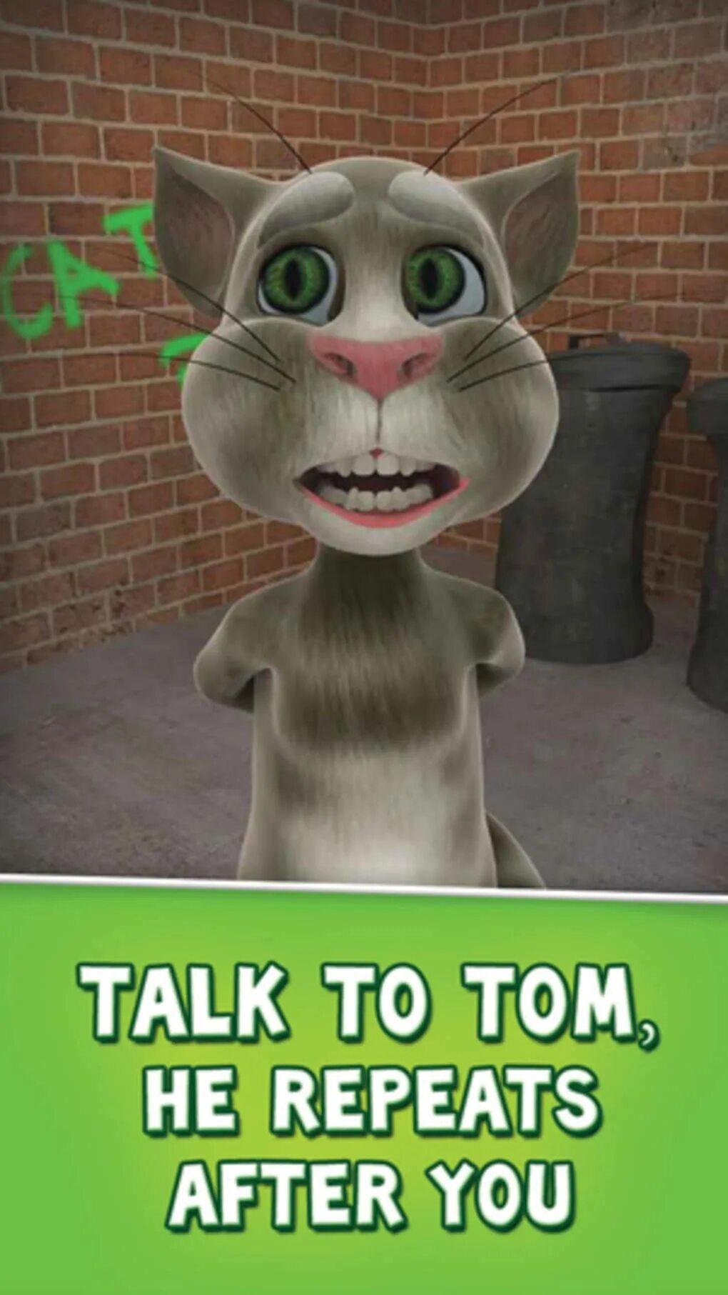 Самая старая версия говорящего тома. Talking Tom. Игра talking Tom Cat (2010). Игра talking Tom Cat (2010) андроид. Talking Tom Cat 1.
