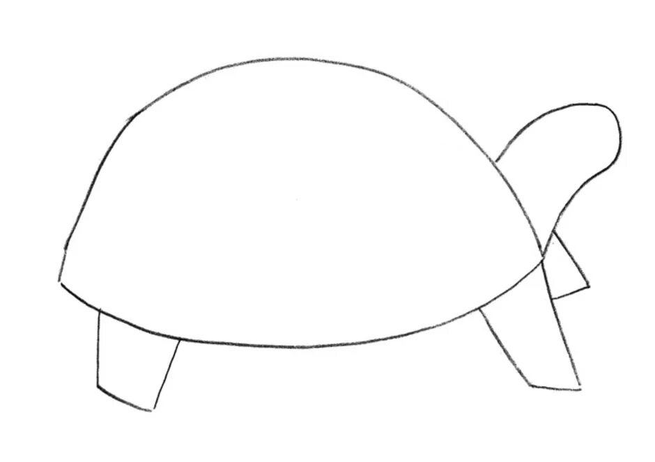 Черепаха средняя группа. Черепаха рисунок. Черепаха шаблон для рисования. Рисование черепаха средняя группа. Поэтапное рисование черепахи.