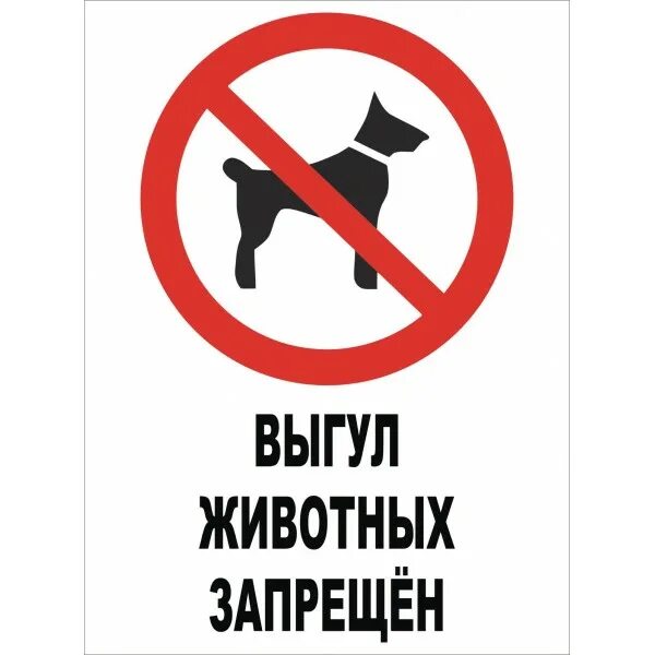 Выгул животных запрещен. Выгул с животными запрещен табличка. Табличка запрет выгула домашних животных. Табличка выгул собак запрещен.