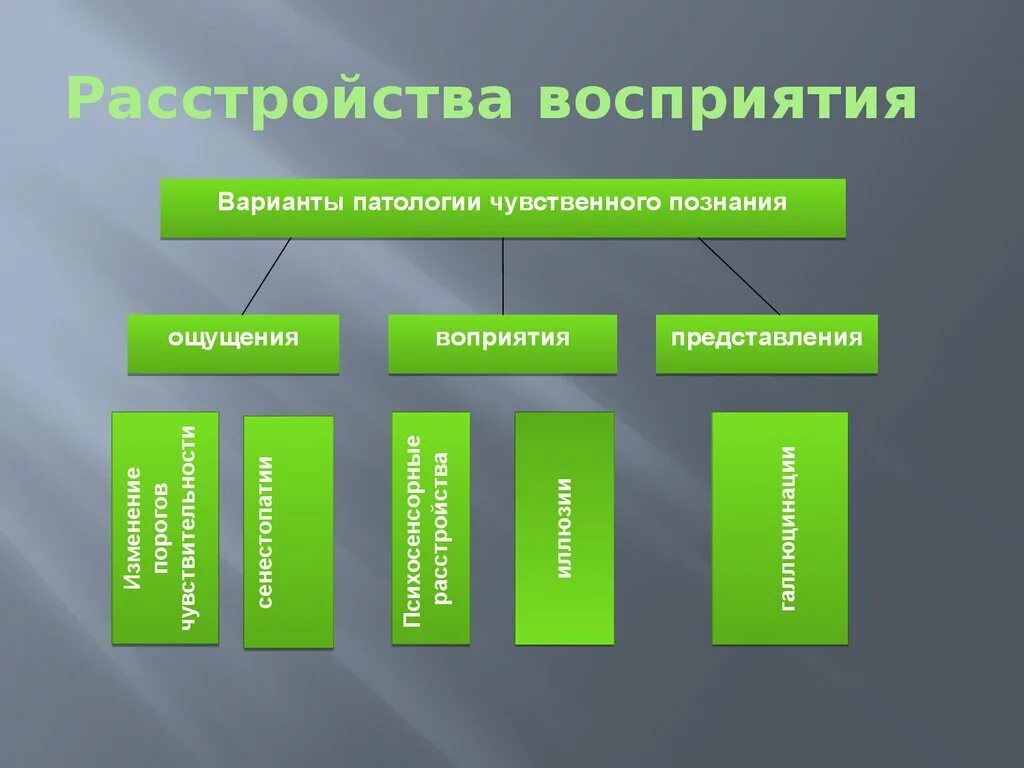 Изменение восприятия происходящего. Патология восприятия схема. Виды нарушения восприятия. Нарушения восприятия психиатрия. Нарушения восприятия в психологии.