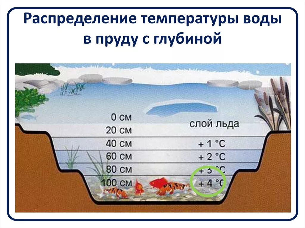 Сколько градусов подо льдом