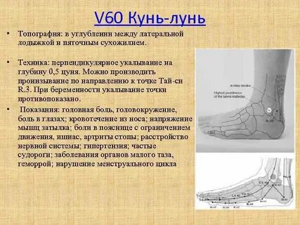 Артровикс меридиан